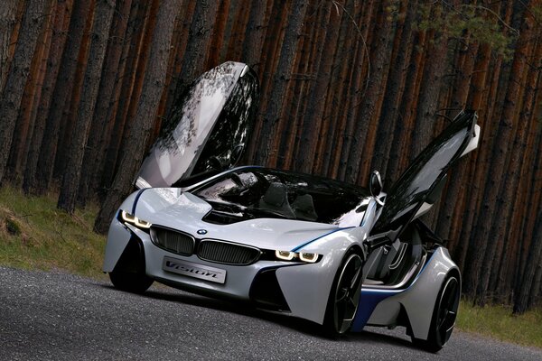 BMW efficientdynamics concept on the forest road