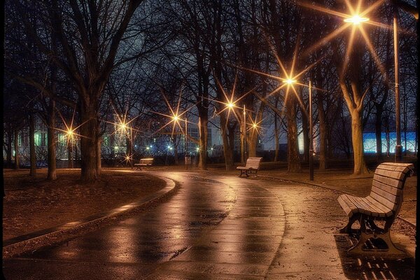 Park alley in the late evening