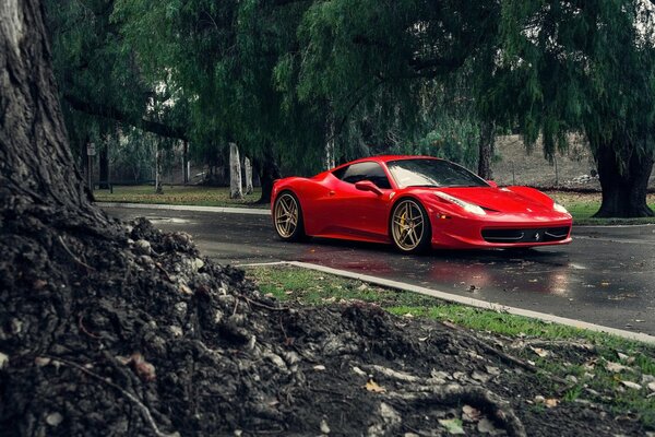 Red Italian Ferrari car on the road