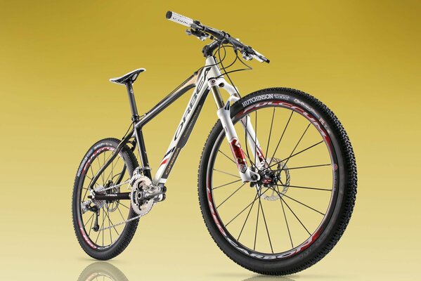 Mountain bike sportiva. Bellissimo design della bici. Ciclismo