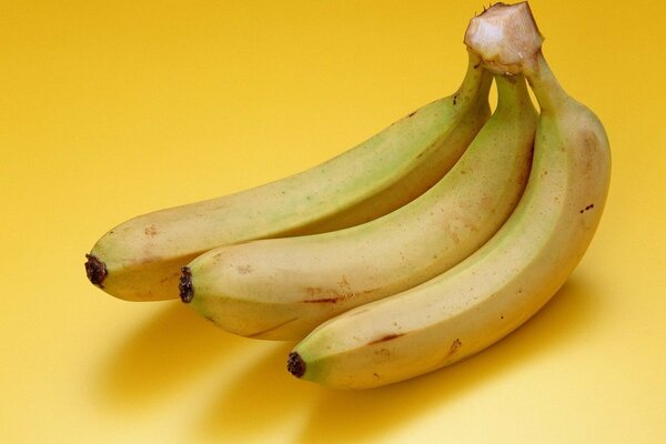 Branche de bananes sur fond jaune