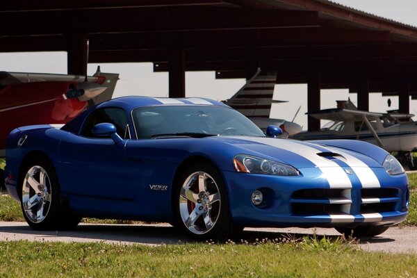 Blue with white stripes on the hood of the dodge Viper