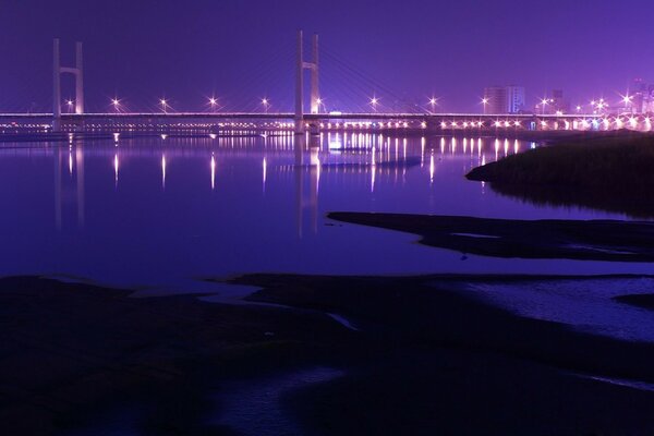 Night lights of Taiwan Bridge