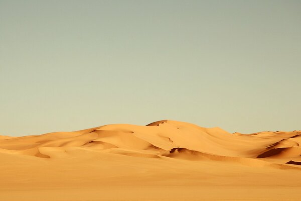 Désert de sable ensoleillé de barkhany