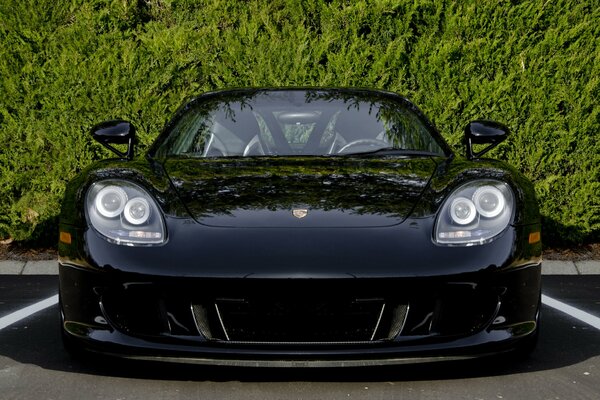 Porsche carrera negro frente a un fondo verde