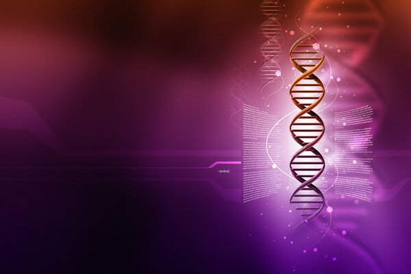 Código genético púrpura 3D de la DNA