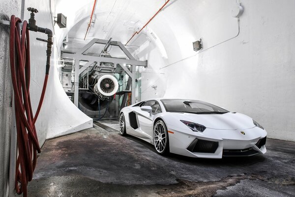 Элегантность белого в Lamborgini Aventador