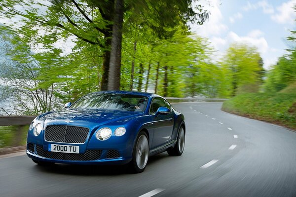 Blauer Bentley Continental fährt auf einer Landstraße