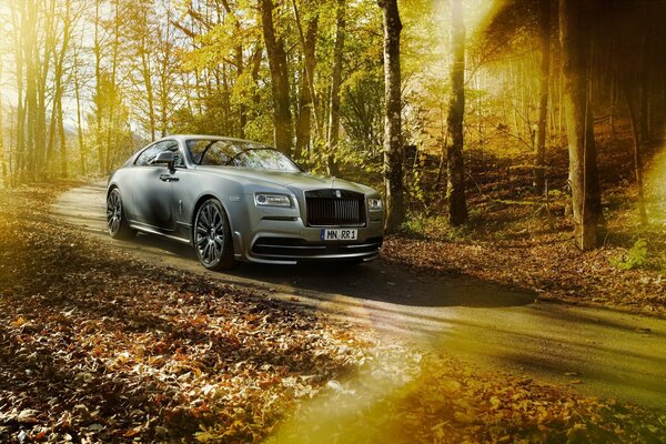 Grey rolls-royce rides through the autumn forest