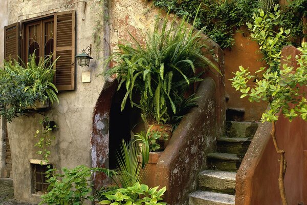 Italian house. Stairs in colors