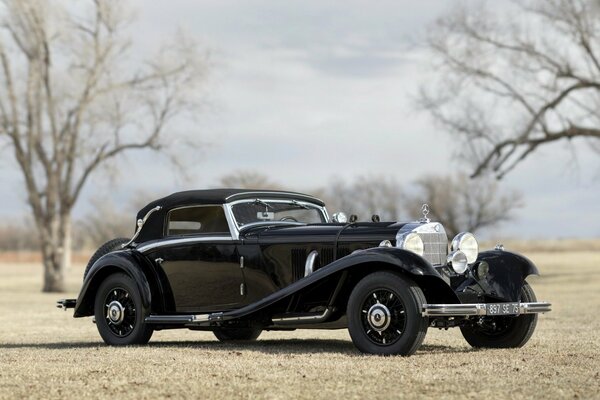 Mercedez benz cabriolet noir sur l herbe parmi les arbres