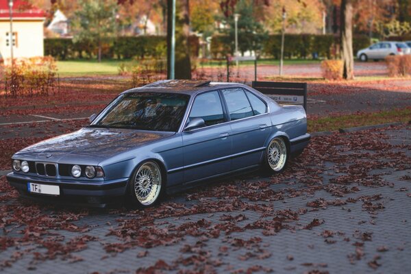 Se ve hermoso en el fondo de otoño del bmw E34. Ajuste perfecto