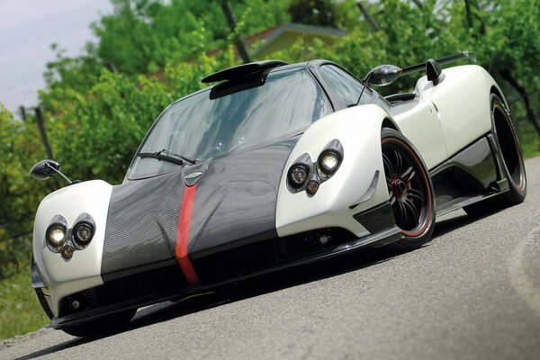 Superdeportivo pagani zonda blanco y negro