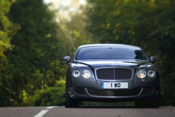 Belle Bentley sur la route de la forêt