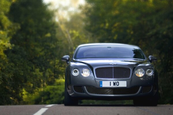 Una bella Bentley sulla strada forestale