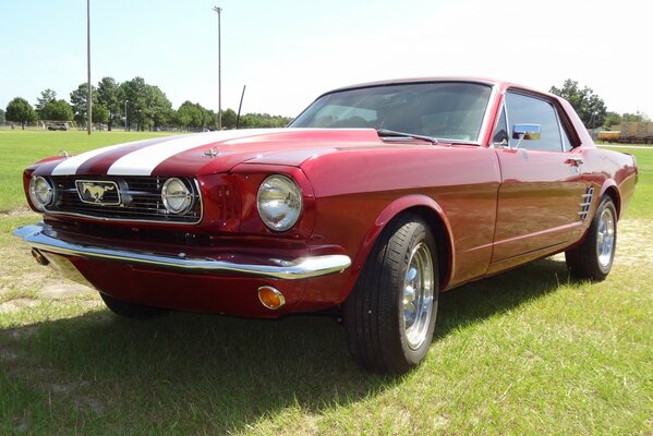 A red Mustang car is standing on the grass