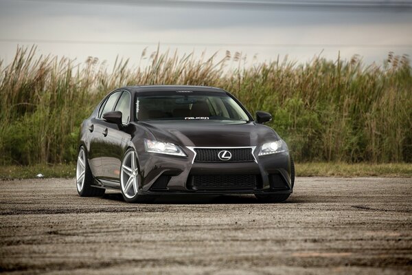 Lexus de color negro se encuentra en el campo