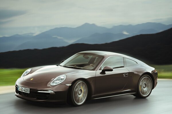 Brauner Porsche Carrera auf der Strecke