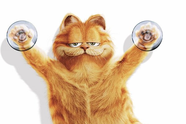 Zufriedener garfield auf Saugnäpfen