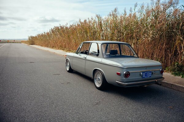 Bmw e10 von 1969. Klassiker auf Schilf Hintergrund