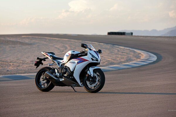 Honda fireblade cbr1000r stoi na drodze