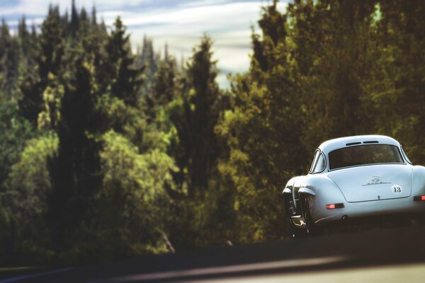 Mercedes drives along the road and admires nature