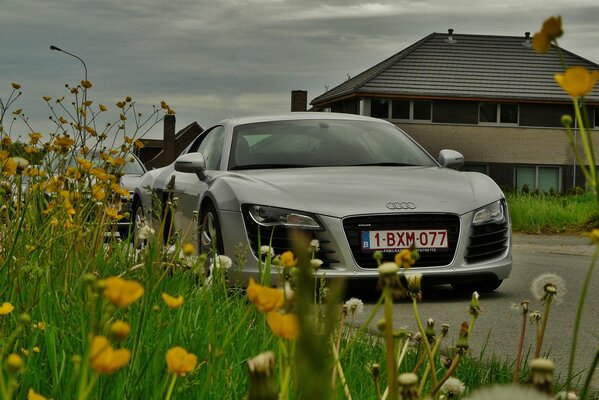 Auto audi R8 di colore bianco accanto ai fiori