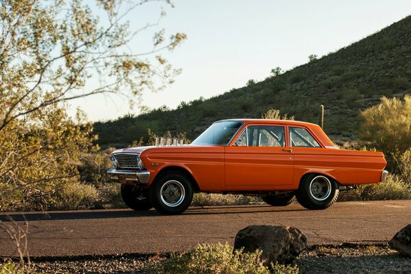 Ein rotes Auto ist auf der Straße. Trockene Bäume und Gras