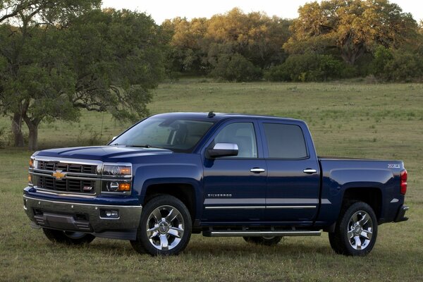 Dark blue pickup truck on a meadow background