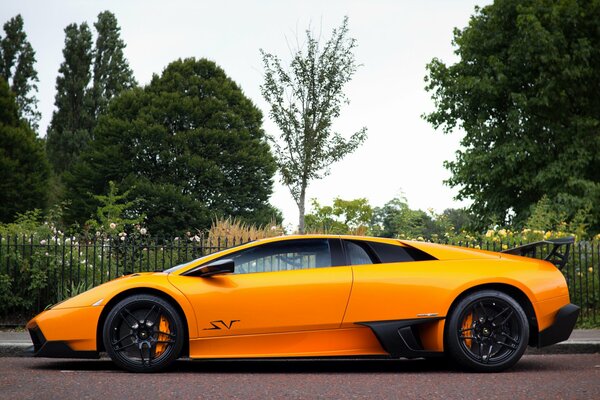 Оранжевый lamborghini murcielago в профиль