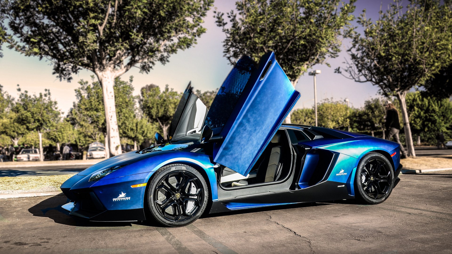 lamborghini aventador blue street tree lamborghini aventador tree