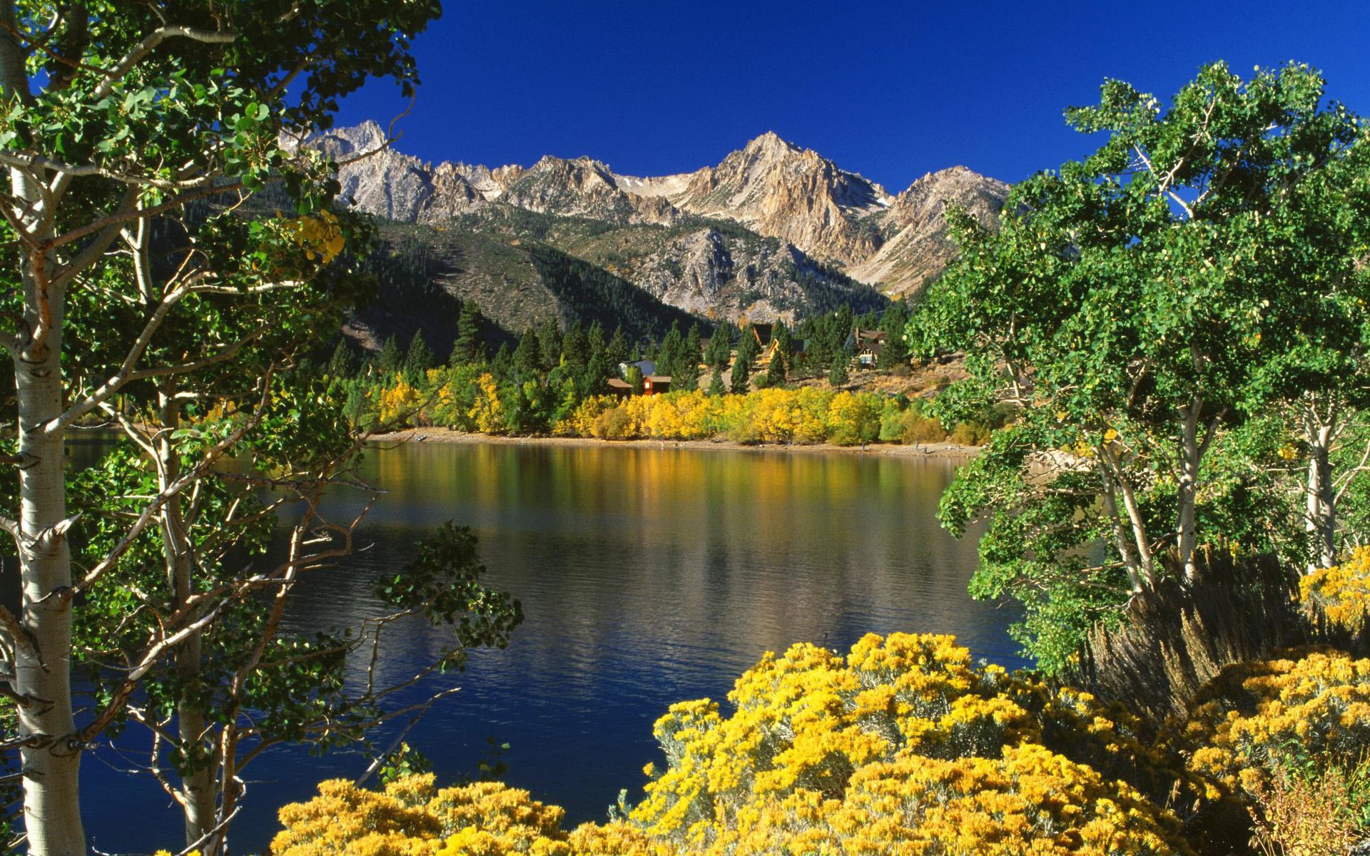 flowers elm mountain village lake mountains blue sky landscape nature vegetation greens trees the bushes water surface tops reflection ate