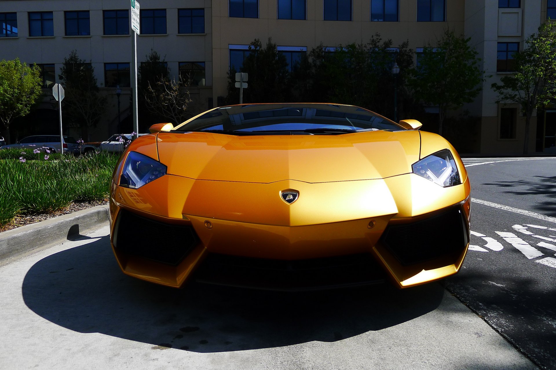 lamborghini aventador lp700-4 gelb lamborghini aventador front schatten reflexion