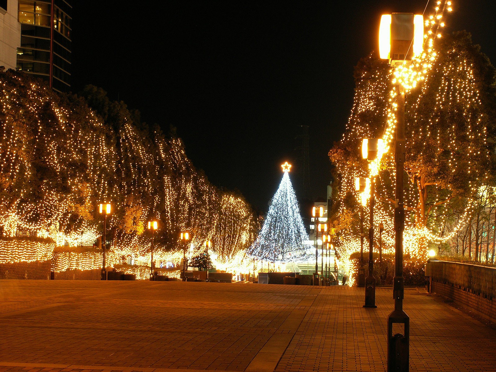 stadt nacht lichter weihnachtsbaum gelb