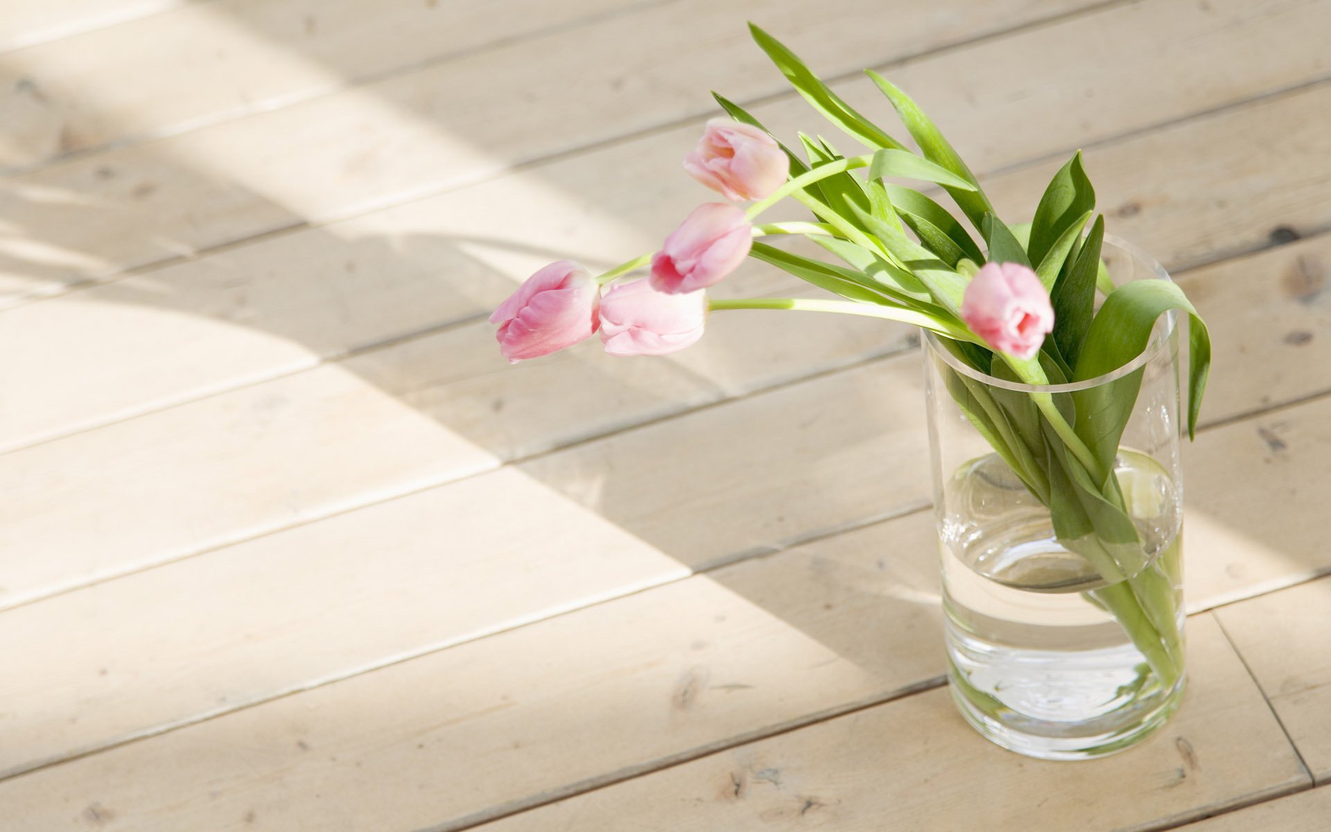 tulipani fiori pavimento primavera foto vaso carta da parati bouquet bicchiere acqua freschezza tulipani rosa