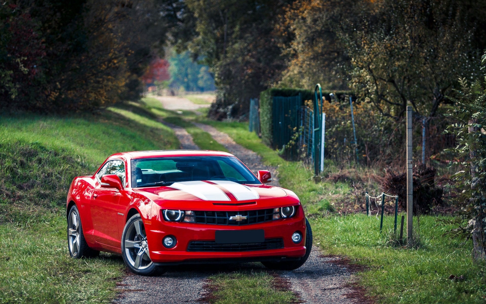 camaro красный мышцы автомобиль шевроле chevrolet camaro