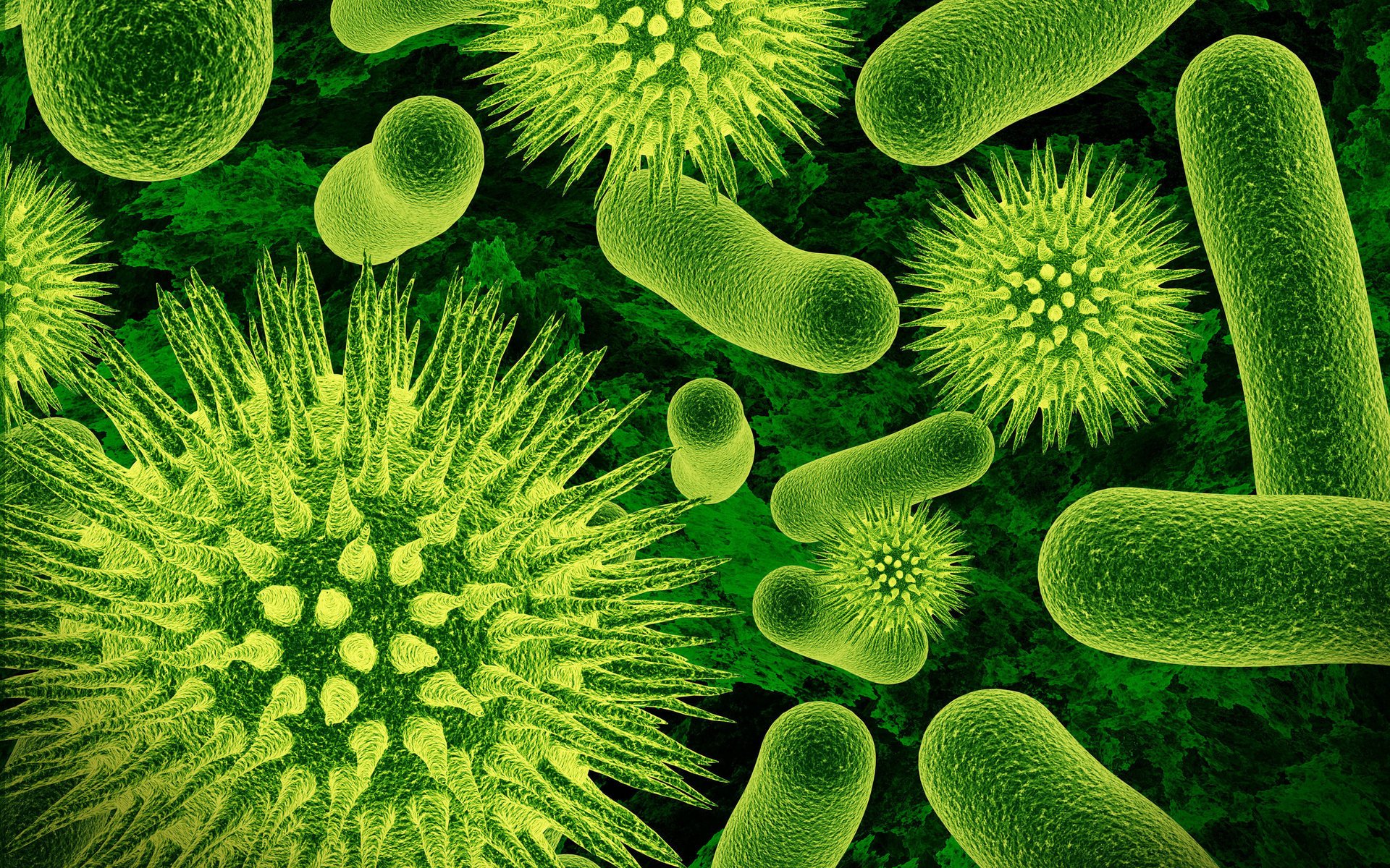 viruses bacteria microorganisms green macro biology biohazard