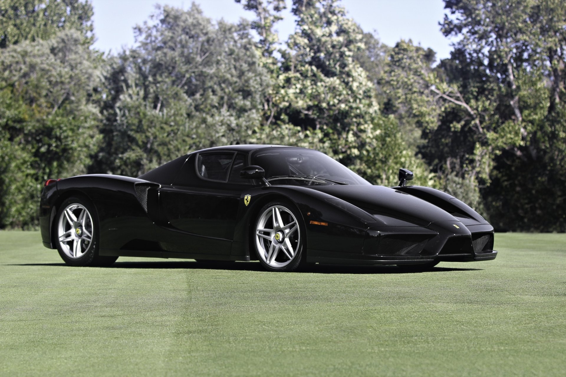 ferrari enzo noir ferrari arbres pelouse