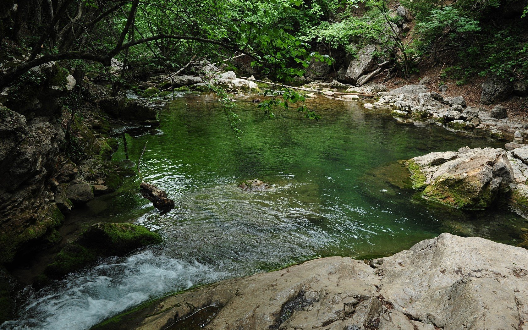 grande canyon di crimea crimea lago natura pietre alberi foglie vegetazione cespugli montagne muschio acqua pulita foresta acqua