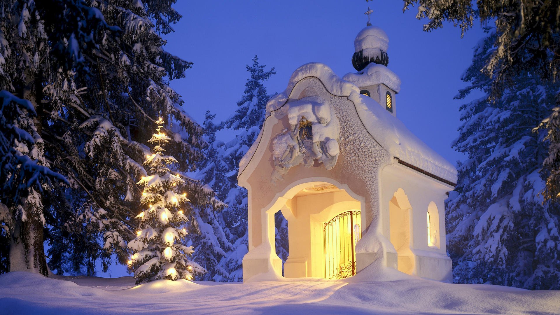 winter weihnachtsbaum schnee weihnachten kapelle wald neujahr