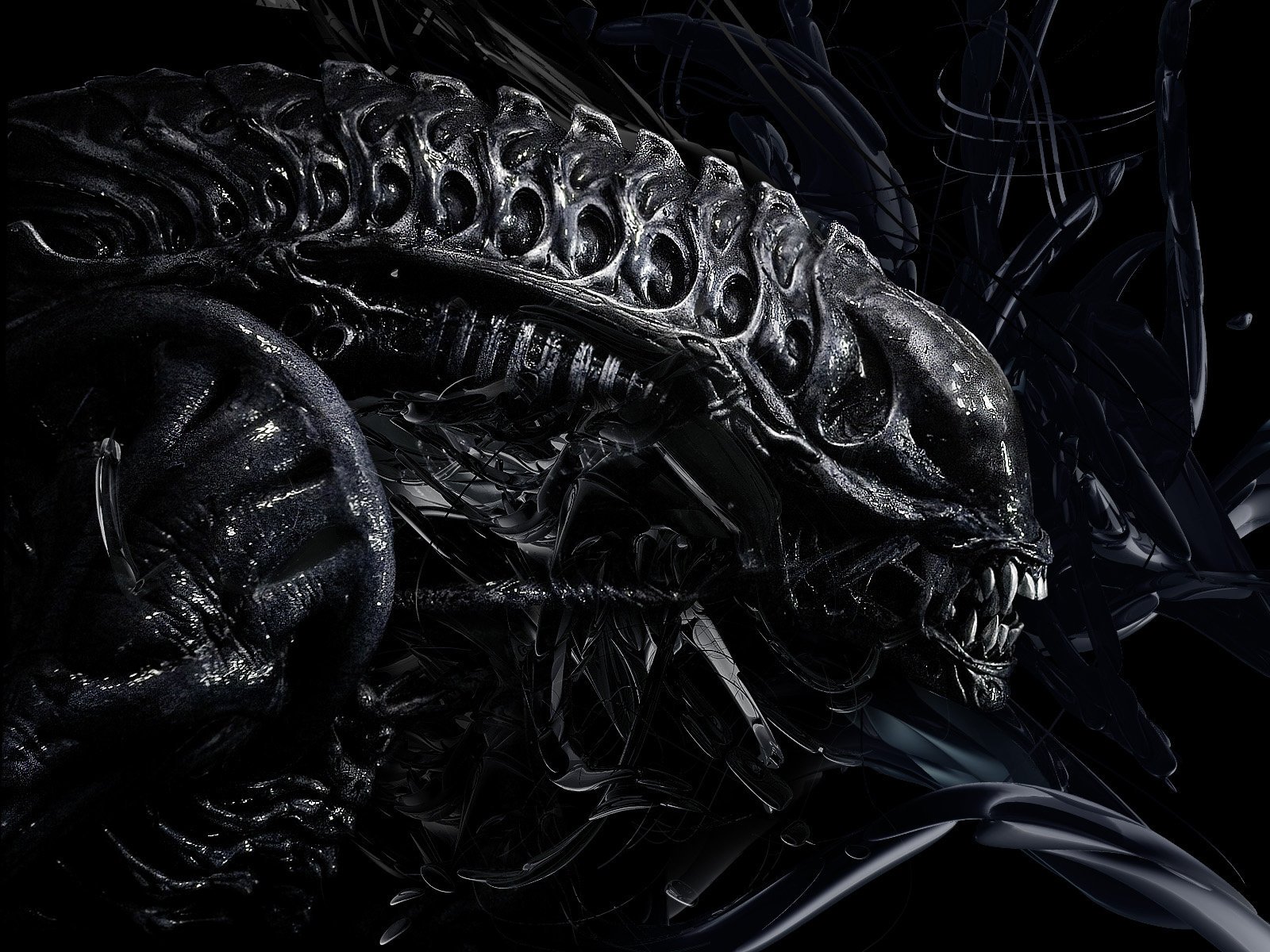 alien alien vs predator alien xenomorph xenomorph head background science fiction movie