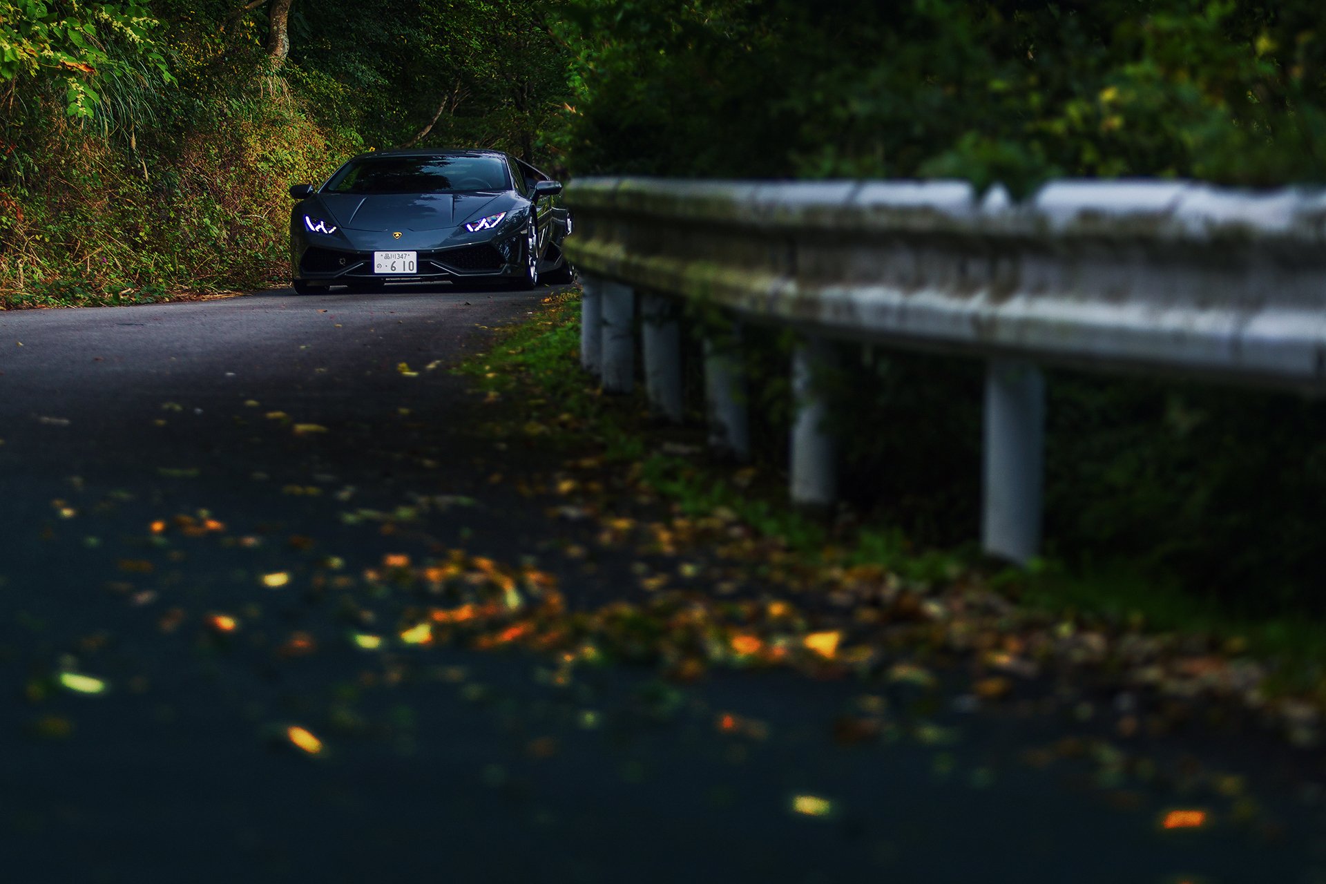 strada foresta autunno