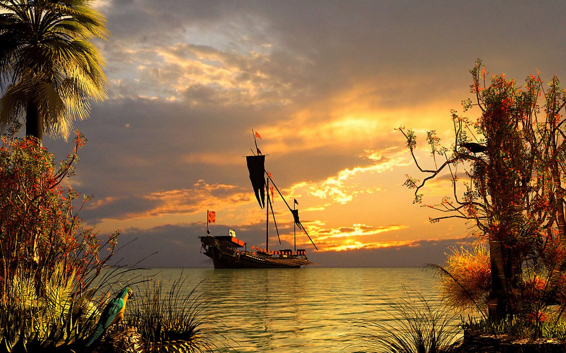 mare paesaggio yacht palme sera tramonto pappagallo piante nuvole superficie liscia cielo acqua