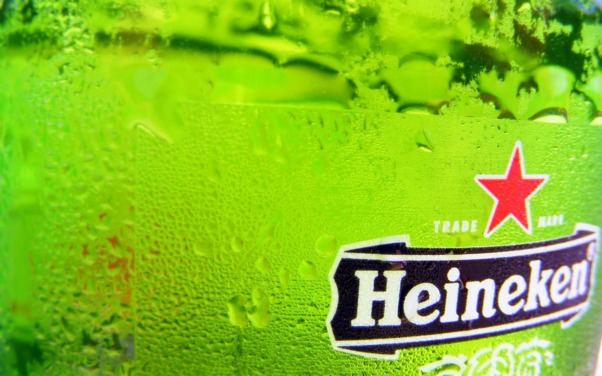 cerveza heineken estrella papel pintado bebidas verdes