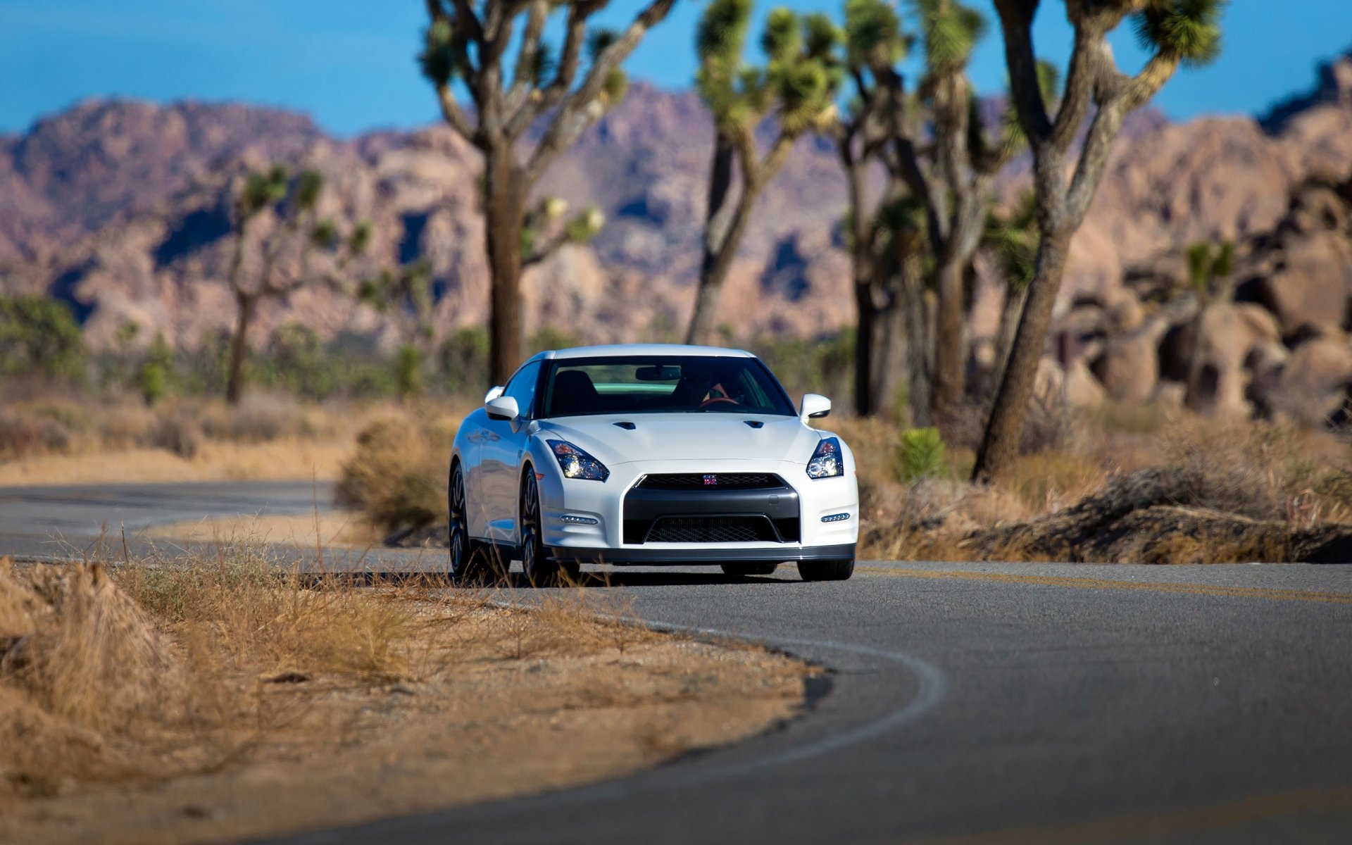 nissan gt-r white car vehicles front asphalt road