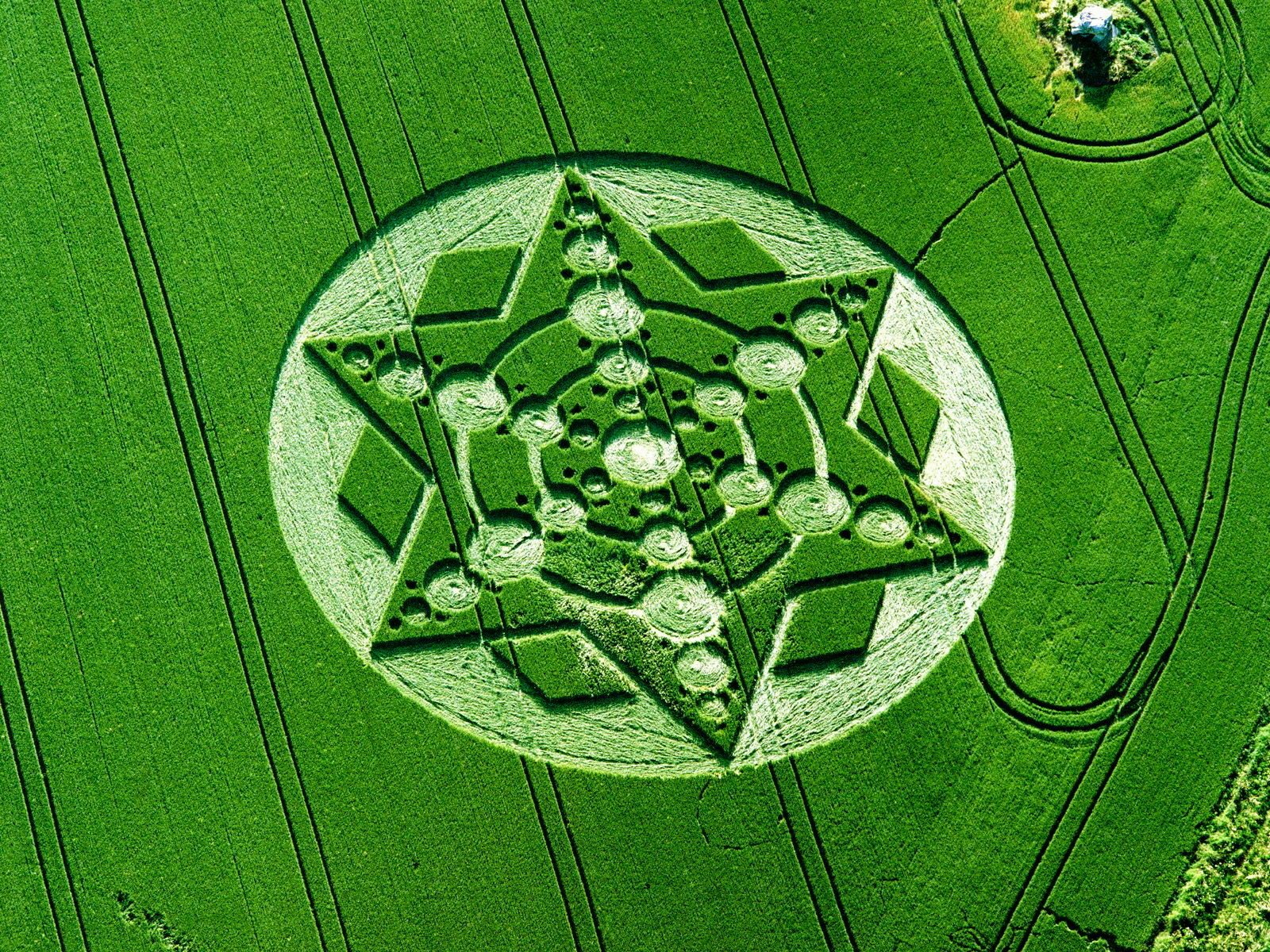 crop circles cerchi nel grano ufo ufo alieni alieni segni avvisi 2012 cifra codice campo disegno modello geometria