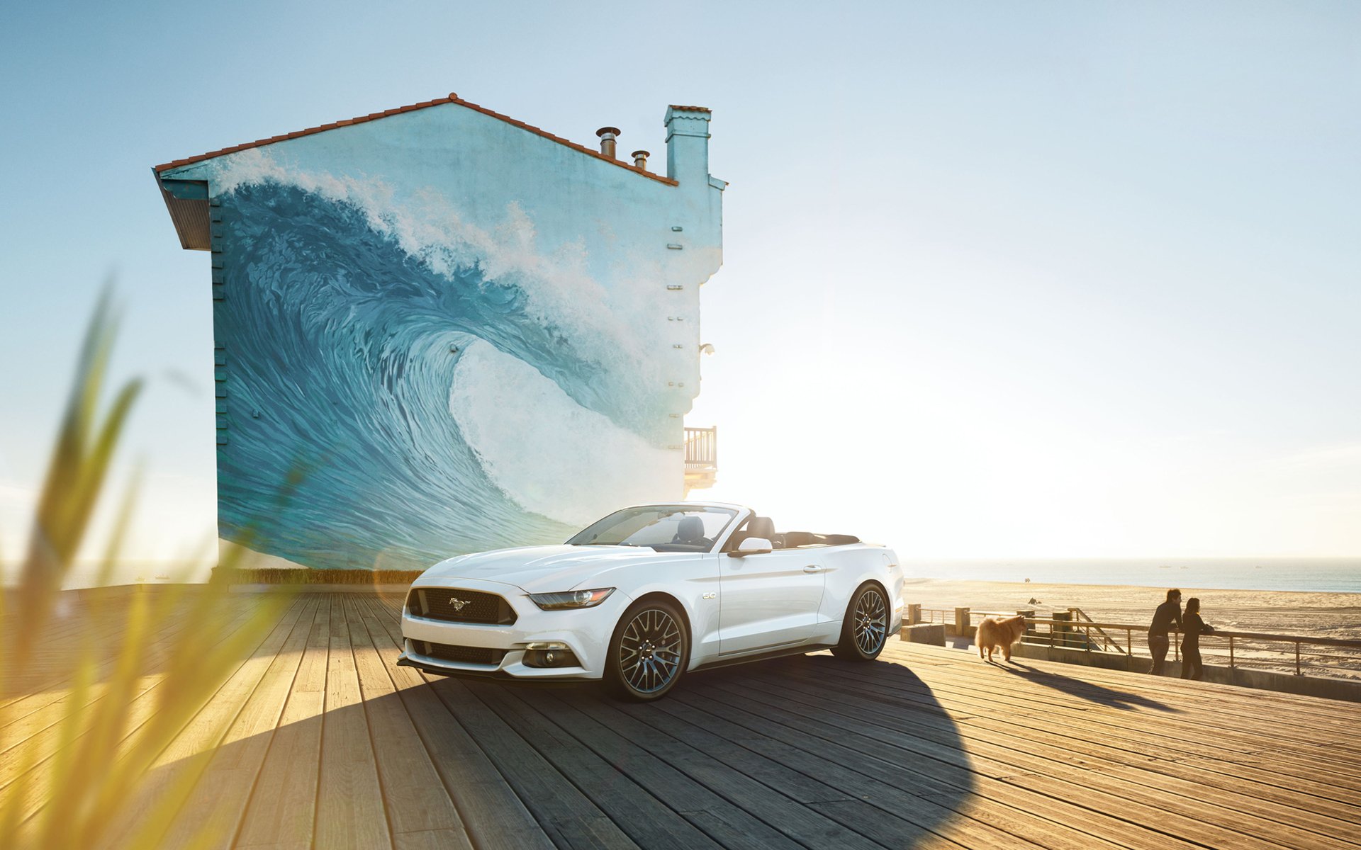 ford mustang car convertible dog