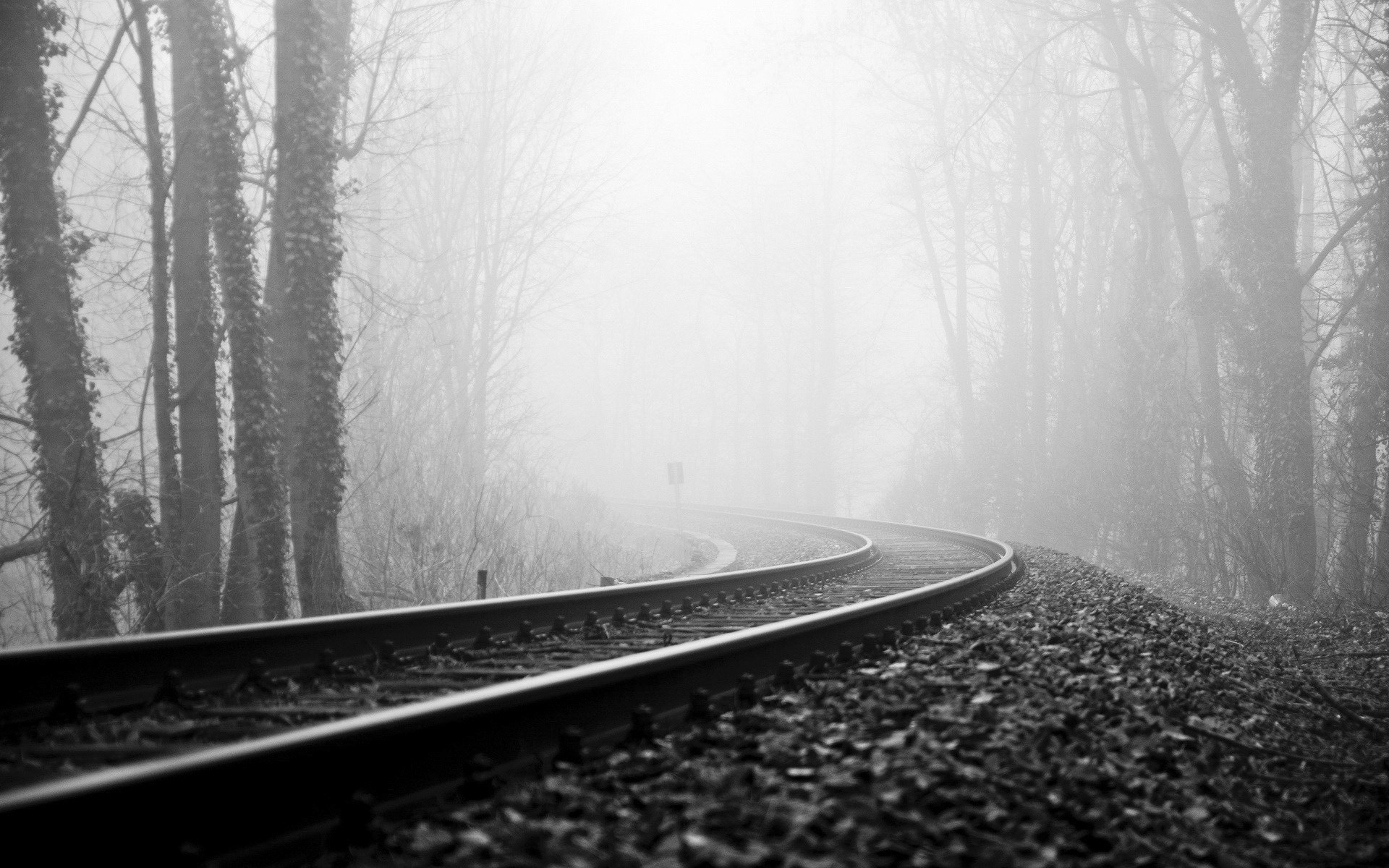 road railroad forest fog rails trees autumn mediocrity haze turn overcast