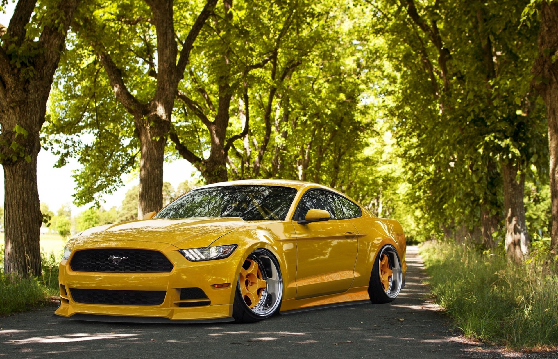 ford mustang 2015 stance yellow tuning front wheel