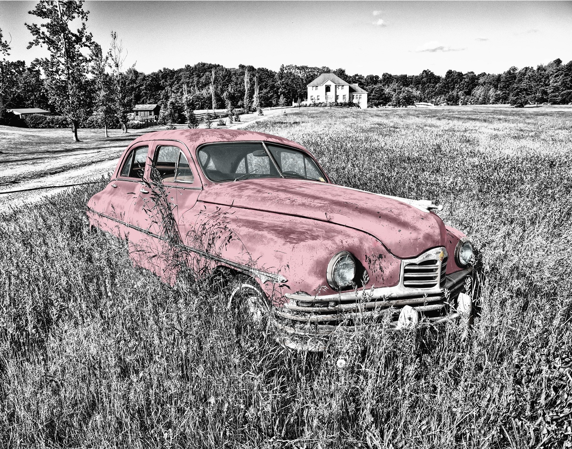 coche blanco rosa negro